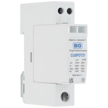 BG CUSPDT21-02 SPD TNS P