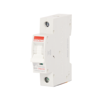 CONTAC CPB0650B MCB SP T